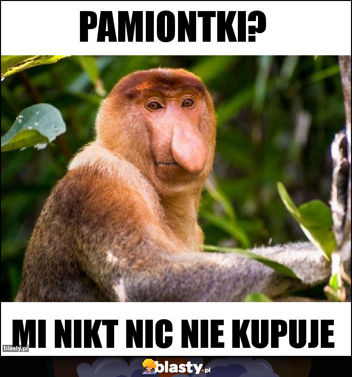 Pamiontki?