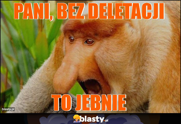 pani, bez deletacji