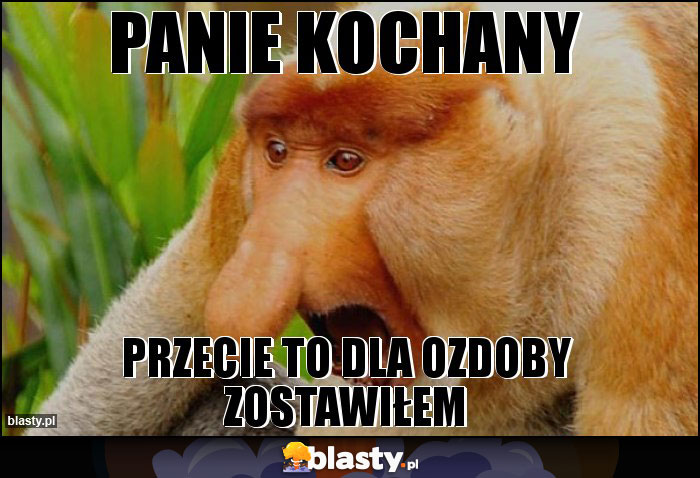 Panie kochany