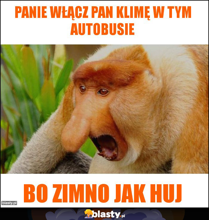 Panie włącz pan klimę w tym autobusie