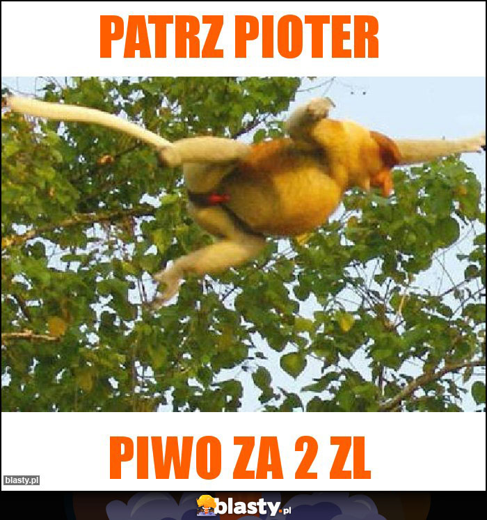 Patrz Pioter