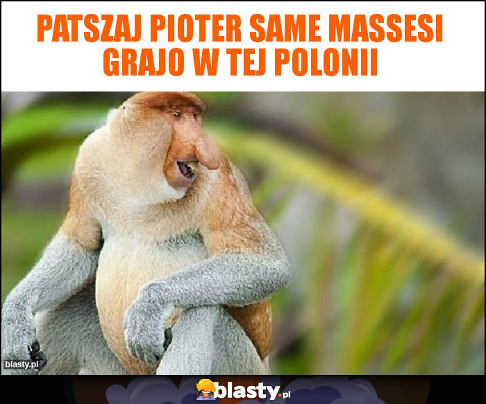 Patszaj Pioter same massesi grajo w tej Polonii