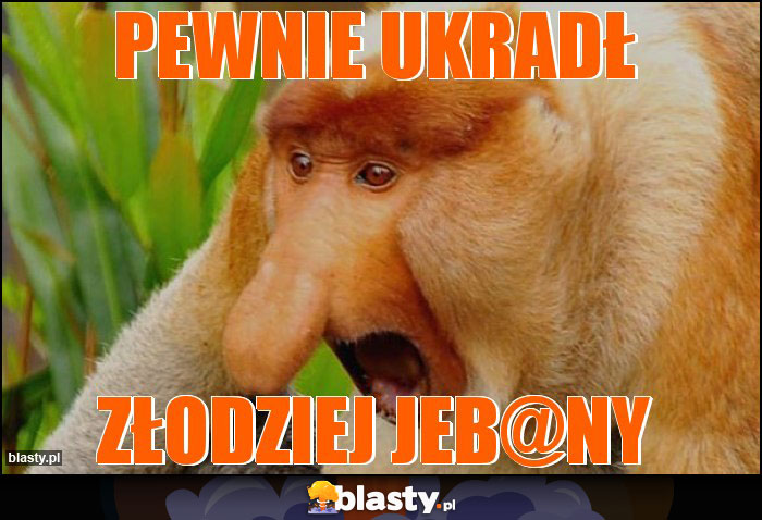 Pewnie ukradł