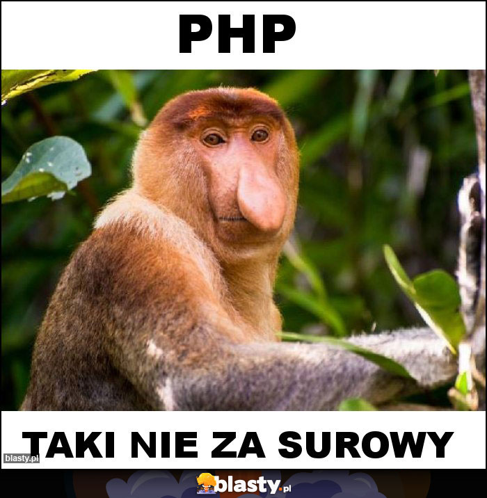 PHP