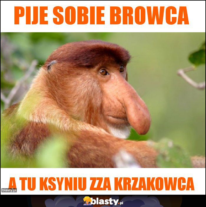 Pije sobie browca