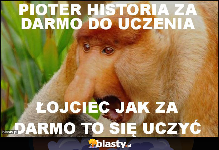 Pioter historia za darmo do uczenia