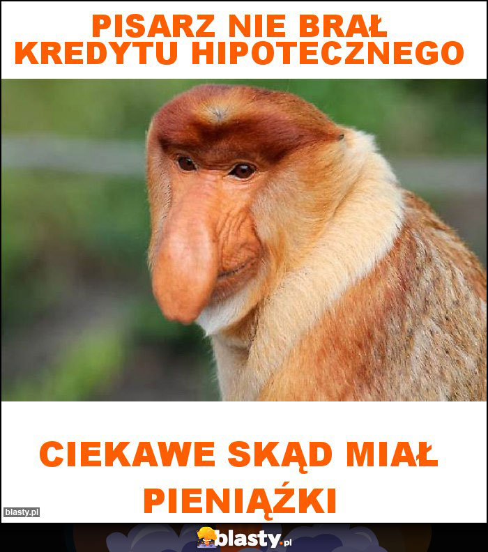 Pisarz nie brał kredytu hipotecznego