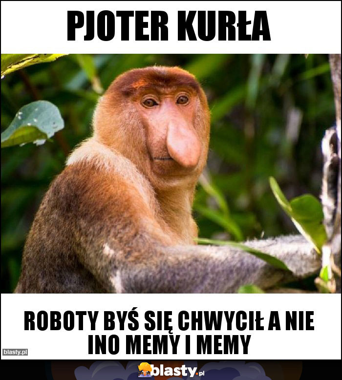 Pjoter kurła