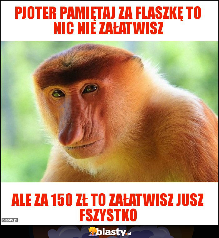 Pjoter pamiętaj za flaszkę to nic nie załatwisz