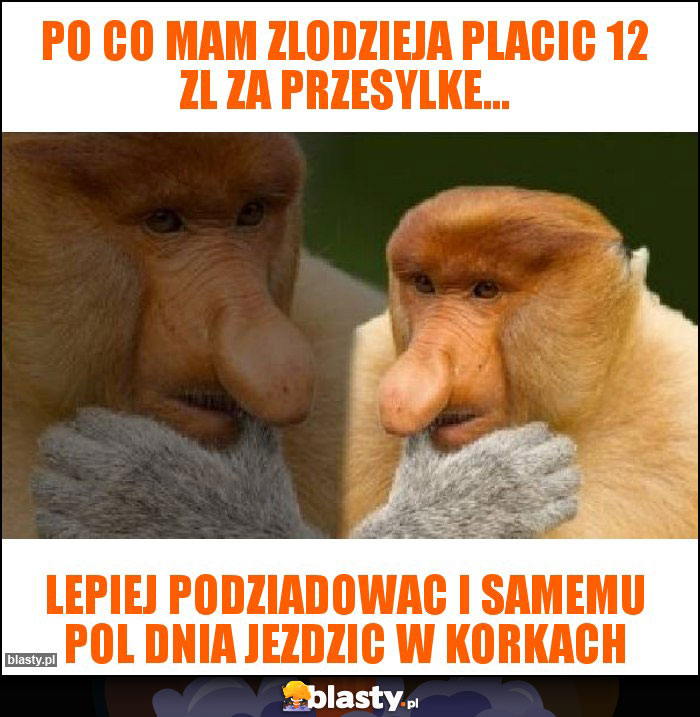 Po co mam zlodzieja placic 12 zl za przesylke...