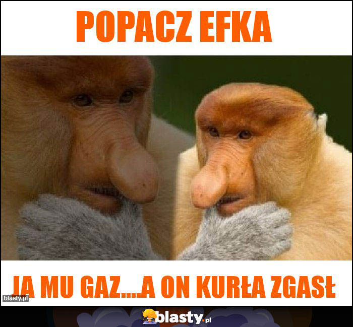 Popacz efka