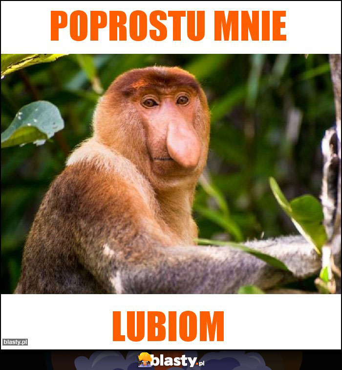 poprostu mnie