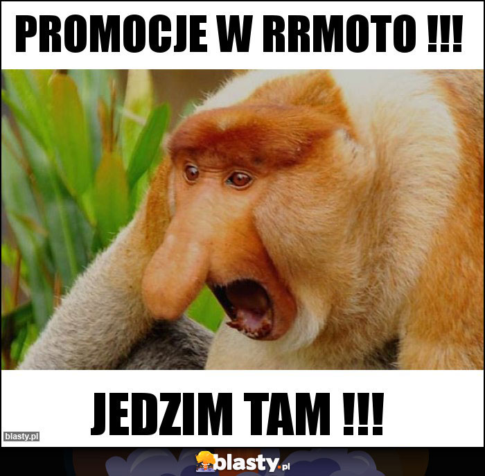 PROMOCJE W RRmoto !!!