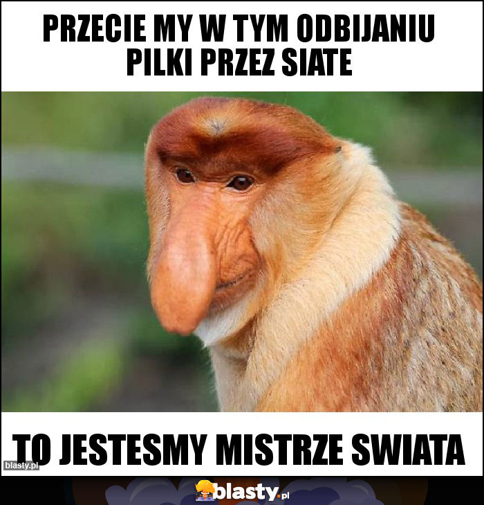 Przecie my w tym odbijaniu pilki przez siate