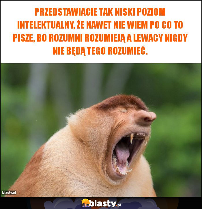 Przedstawiacie tak niski poziom intelektualny, że nawet nie wiem po co to pisze, bo rozumni rozumieją a lewacy nigdy nie będą tego rozumieć.