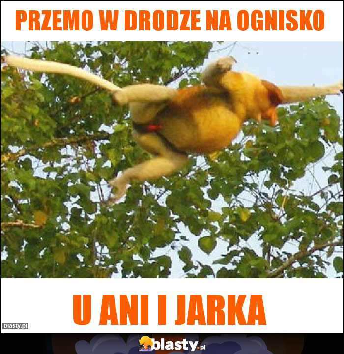 Przemo w drodze na ognisko