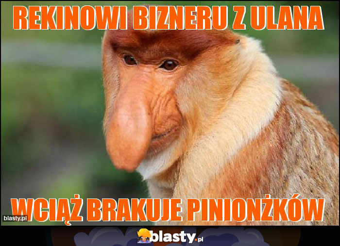 Rekinowi bizneru z Ulana