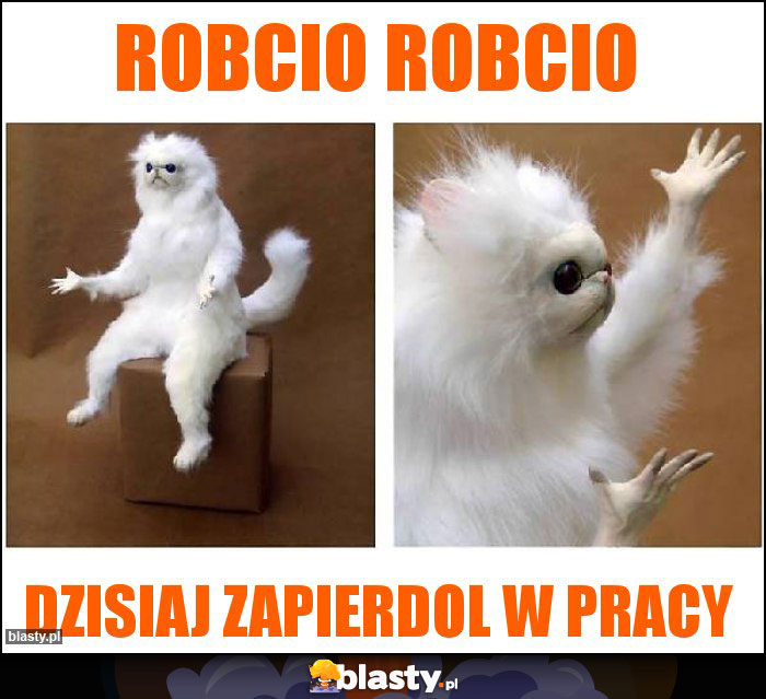 ROBCIO ROBCIO