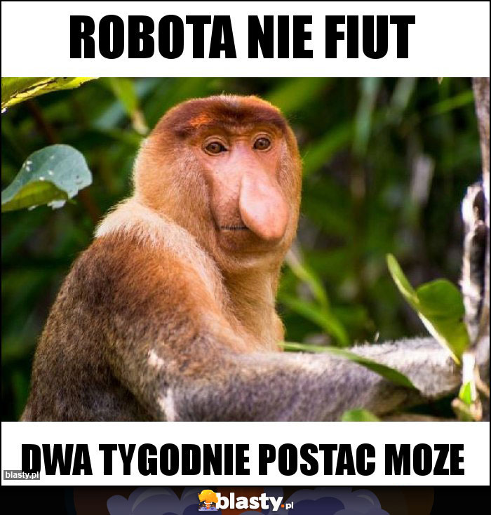 Robota nie fiut