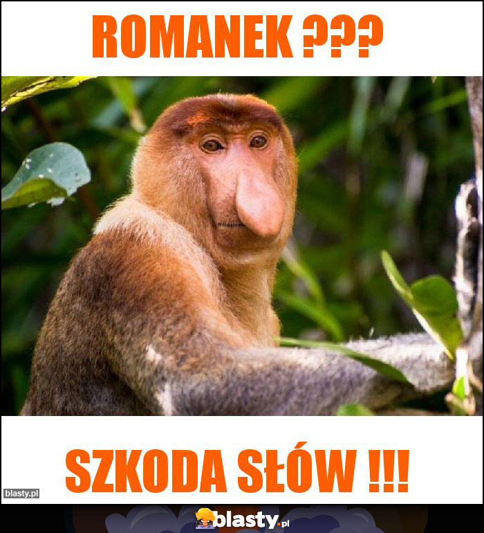 Romanek ???