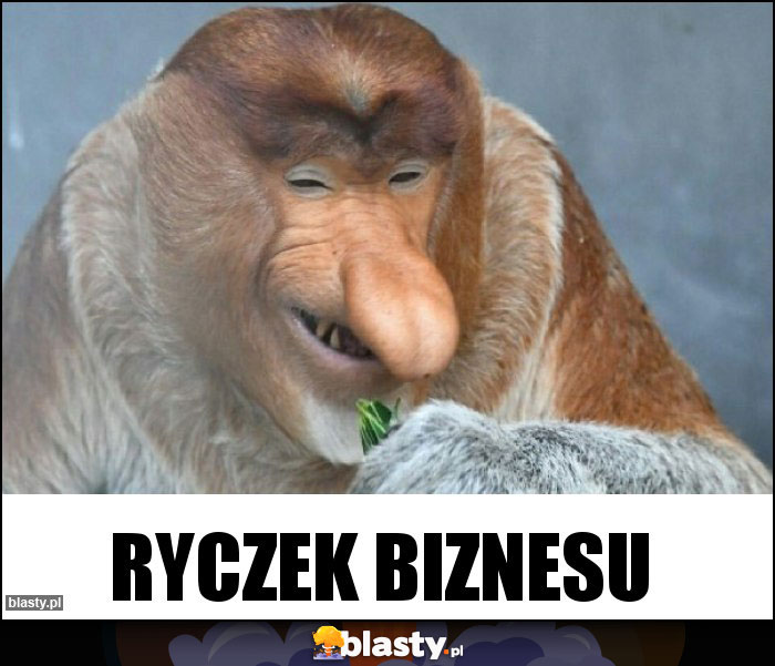 Ryczek biznesu