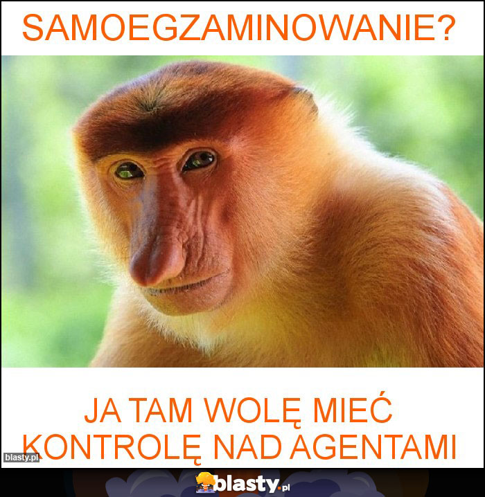 samoegzaminowanie?