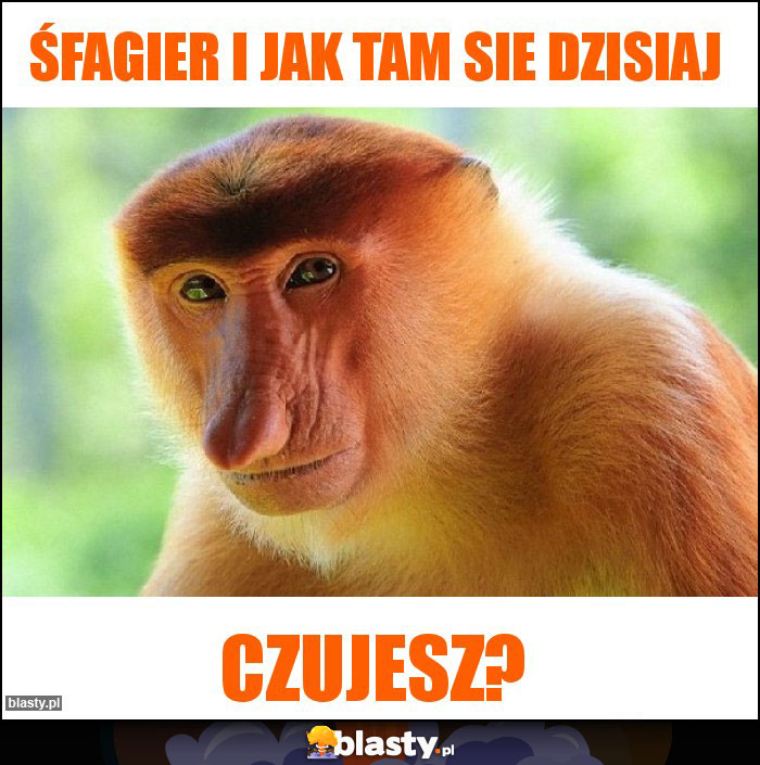 Śfagier i jak tam sie dzisiaj