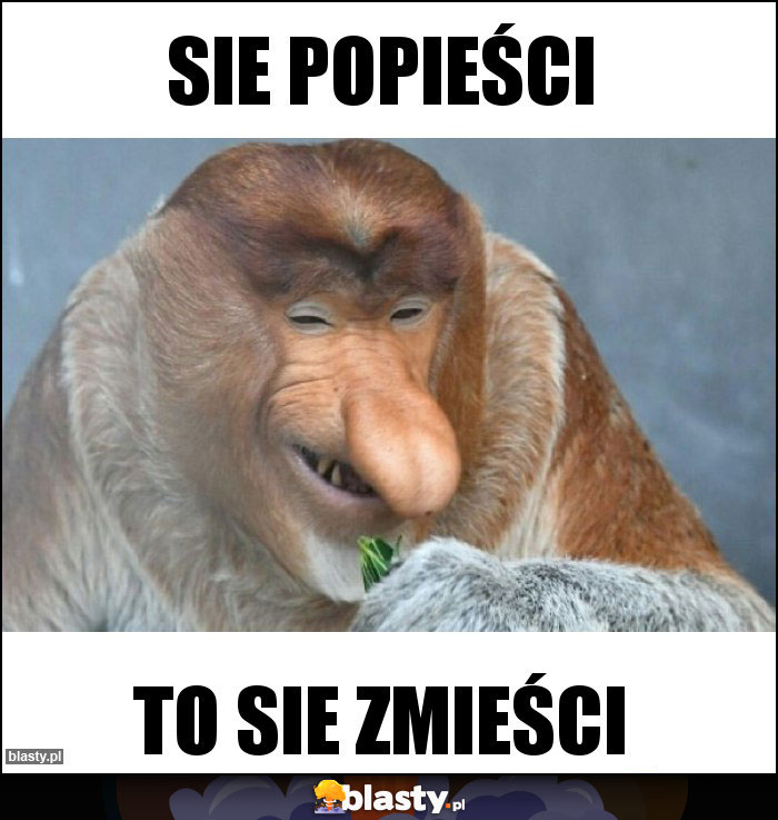 Sie popieści