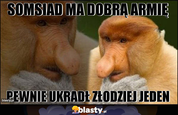 SOMSIAD MA DOBRĄ ARMIĘ