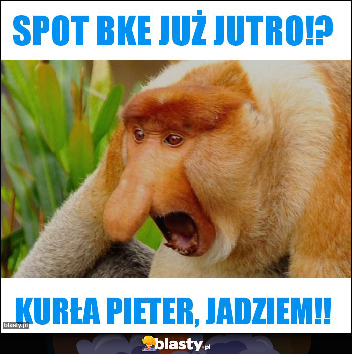 Spot BKE już jutro!?