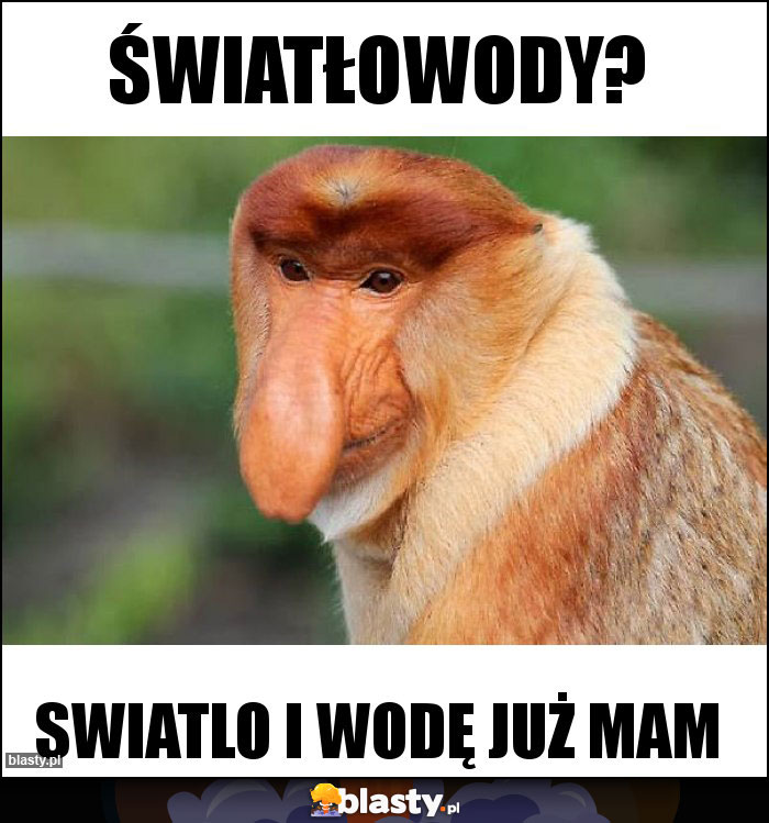 Światłowody?