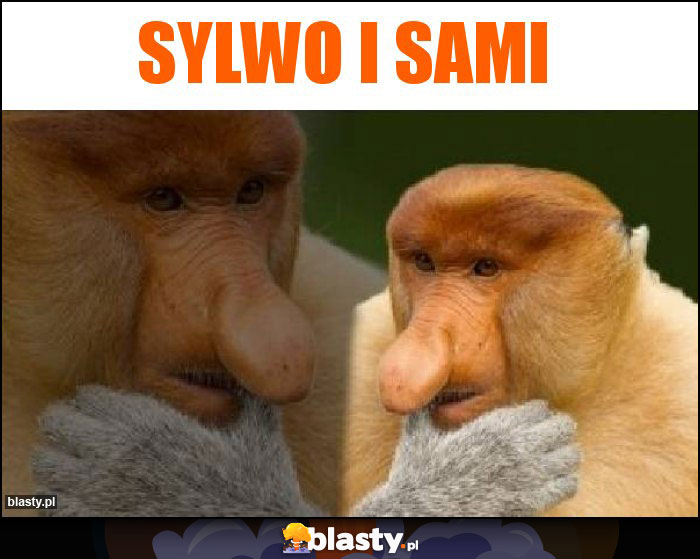 Sylwo i sami