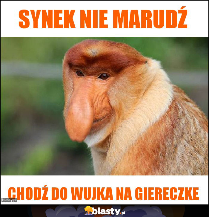 Synek nie marudź