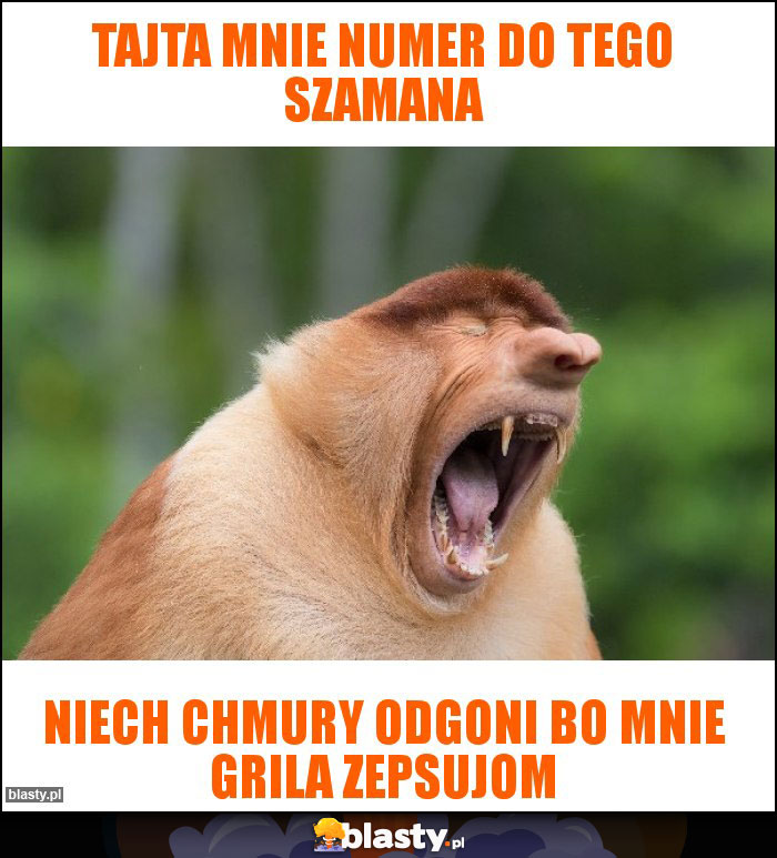 Tajta mnie numer do tego szamana