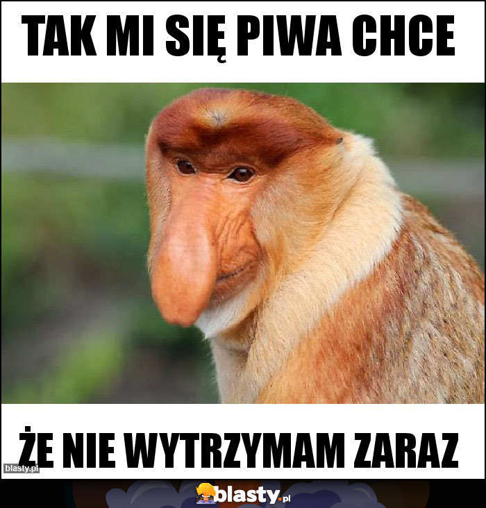 Tak mi się piwa chce