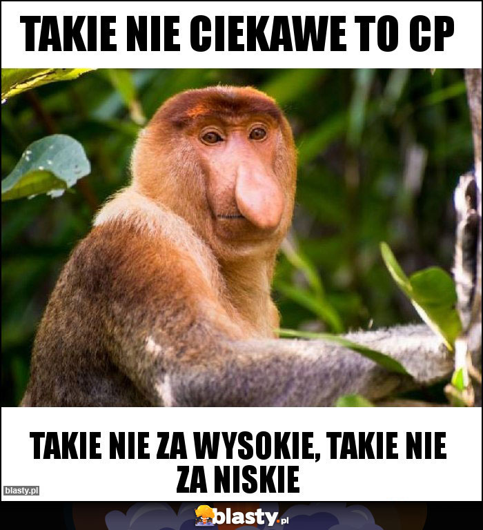 Takie nie ciekawe to CP