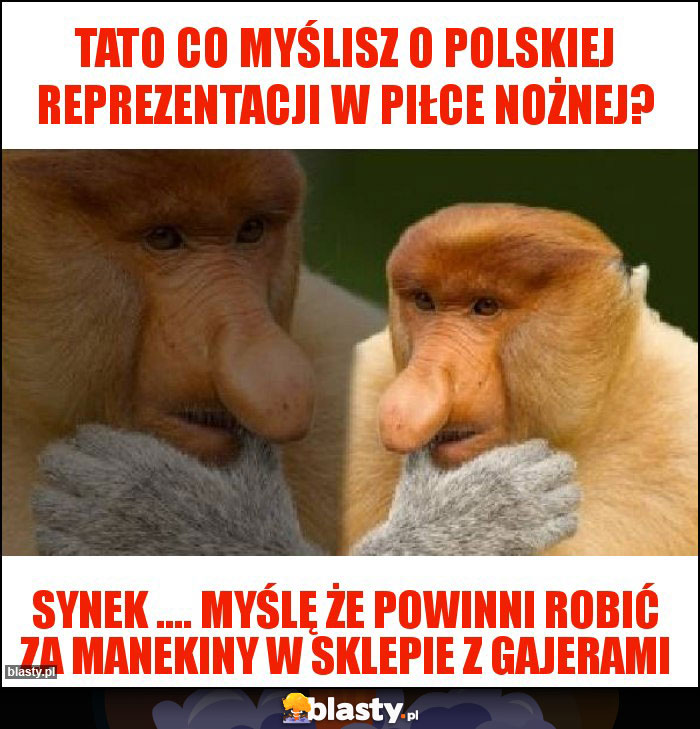 Tato co myślisz o polskiej reprezentacji w piłce nożnej?