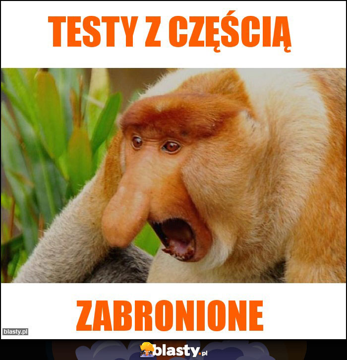 Testy z częścią