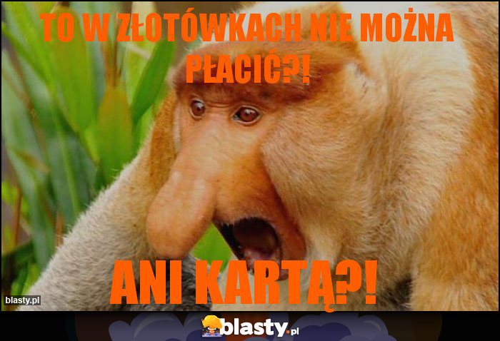 To w złotówkach nie można płacić?!