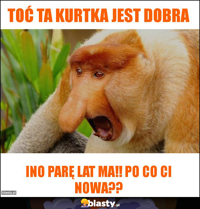 Toć ta kurtka jest dobra