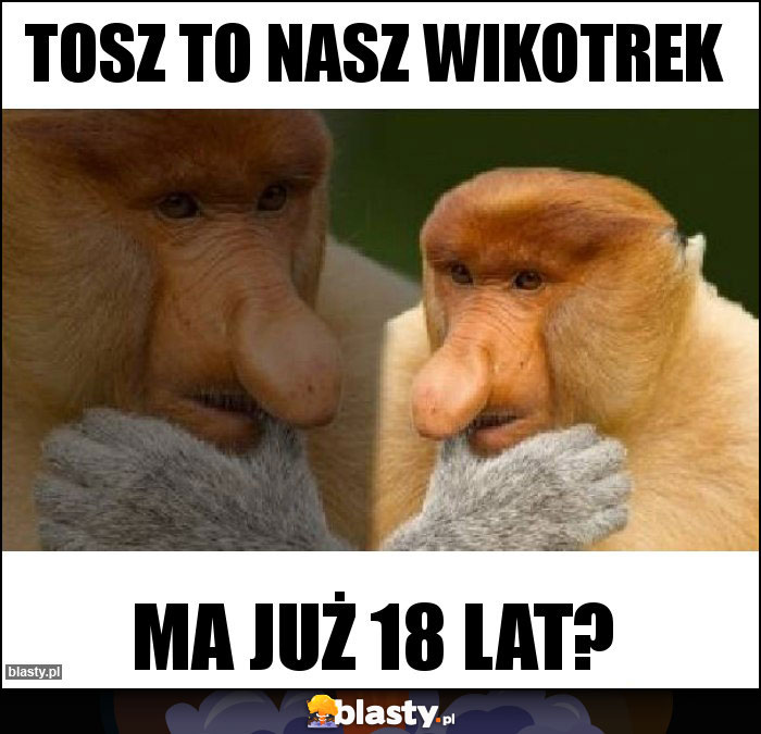 Tosz to Nasz Wikotrek