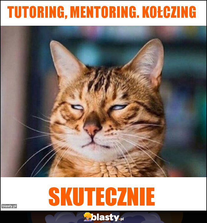 Tutoring, Mentoring. Kołczing