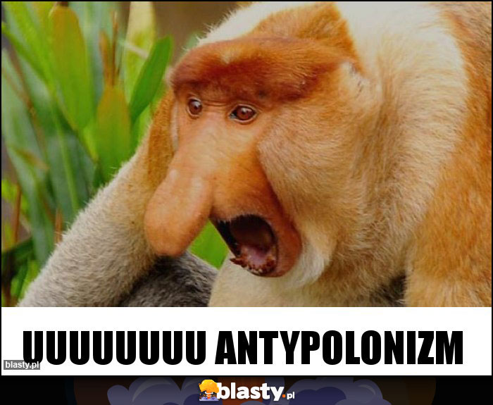 uuuuuuuu antypolonizm