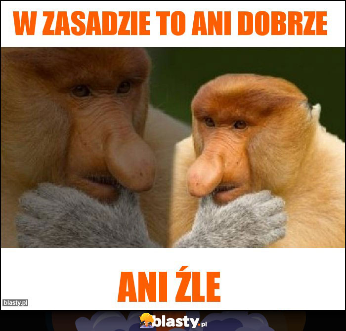 W zasadzie to ani dobrze