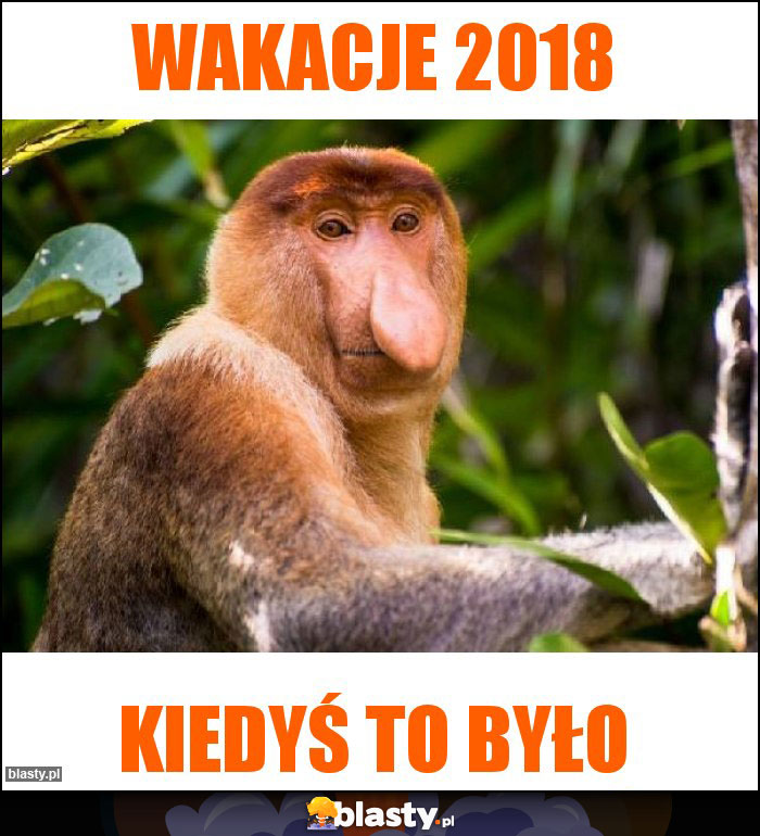 wakacje 2018