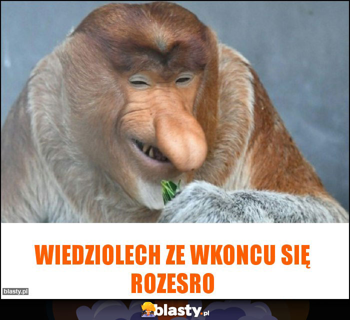 Wiedziolech ze wkoncu się rozesro