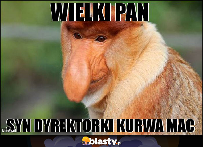 Wielki pan