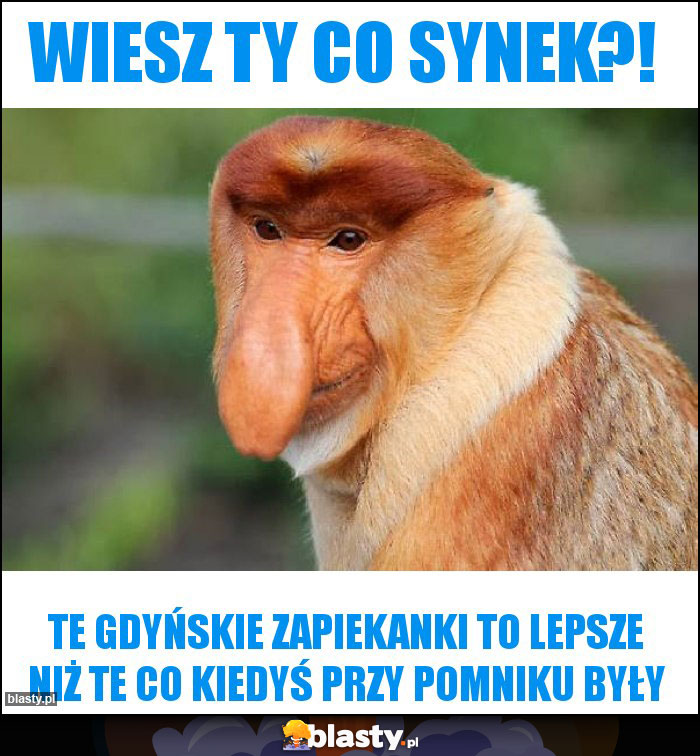 Wiesz ty co synek?!