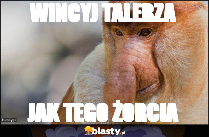 WINCYJ TALERZA