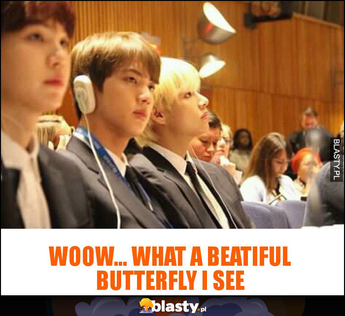 Woow... What a beatiful butterfly I see